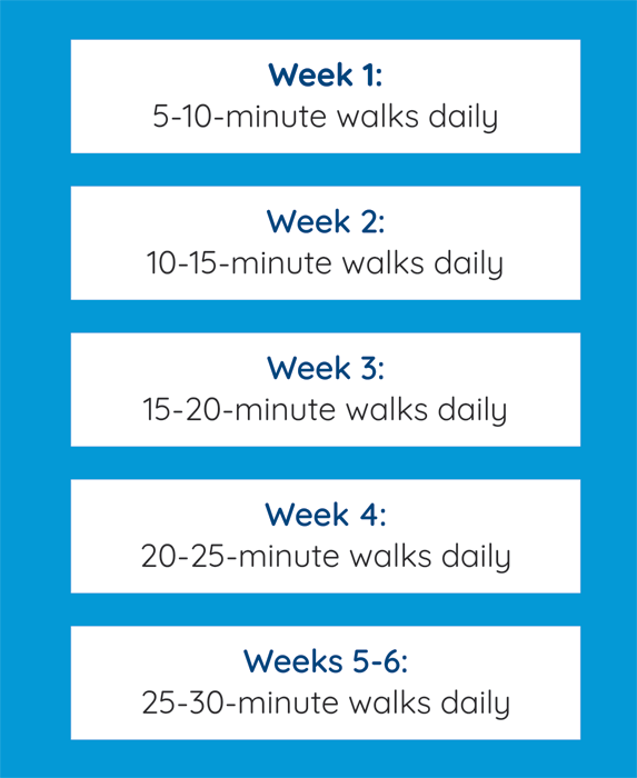 Weekly Excercise