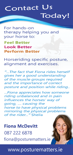 equinepostureflyerback