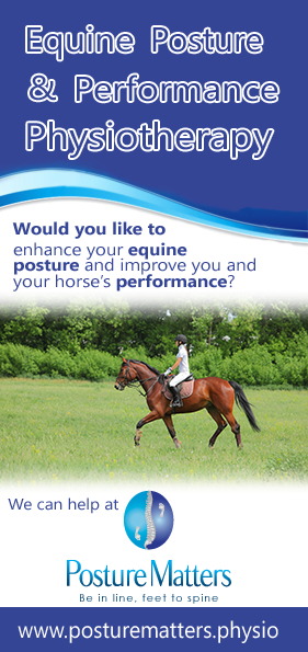equinepostureflyerl
